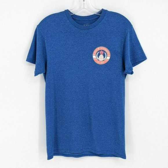 Love Pineapples Graphic T Shirt S Heather Blue Short Sleeve Tacos Are the Answer - Picture 7 of 11